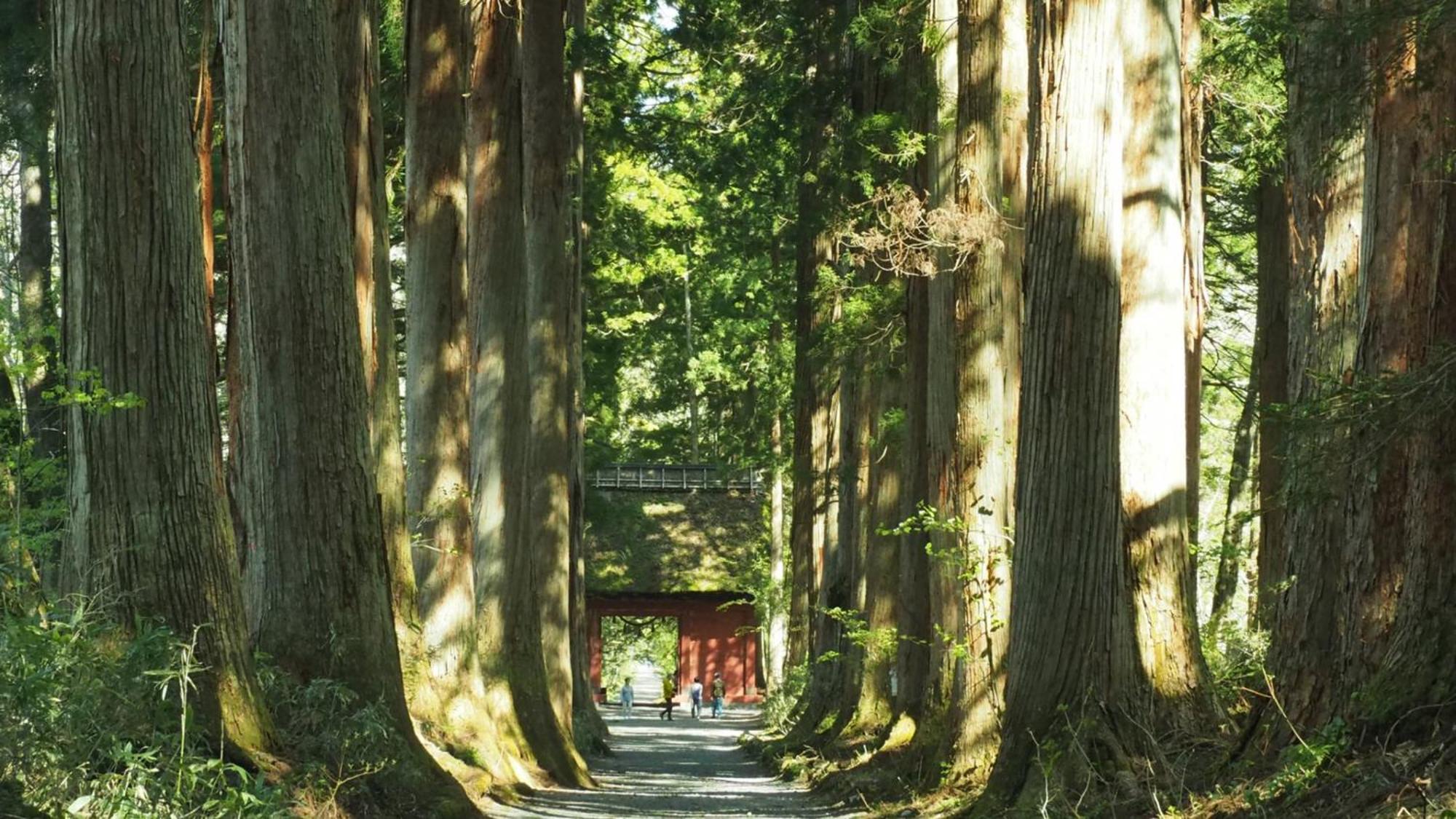 Toyoko Inn Nagano eki Zenkoji guchi Eksteriør billede